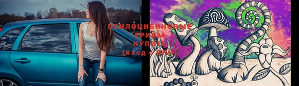 мяу мяу мука Алексин