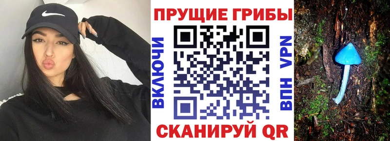 Галлюциногенные грибы мухоморы Петровск